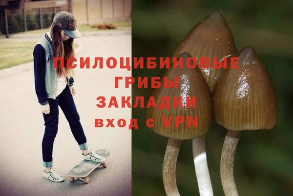 бошки Инсар