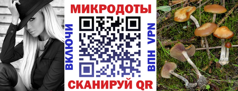 Псилоцибиновые грибы Psilocybe  Купить закладки  Буйнакск 